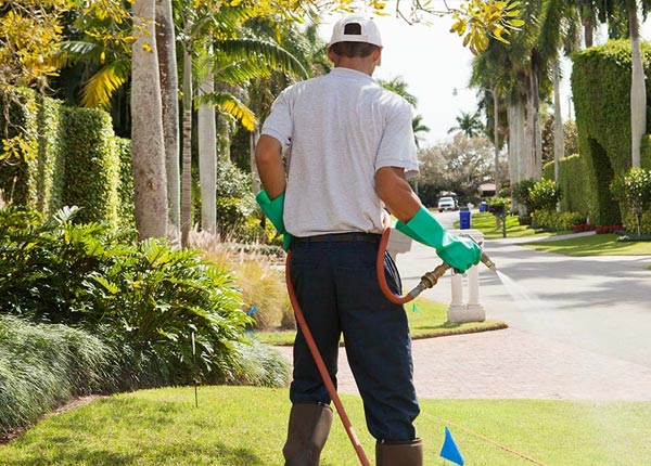 About Saint Louis MO Pest Control Pros